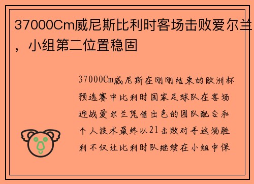 37000Cm威尼斯比利时客场击败爱尔兰，小组第二位置稳固