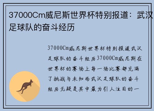 37000Cm威尼斯世界杯特别报道：武汉足球队的奋斗经历
