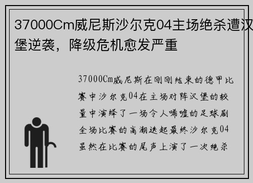 37000Cm威尼斯沙尔克04主场绝杀遭汉堡逆袭，降级危机愈发严重