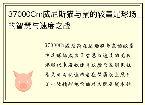 37000Cm威尼斯猫与鼠的较量足球场上的智慧与速度之战